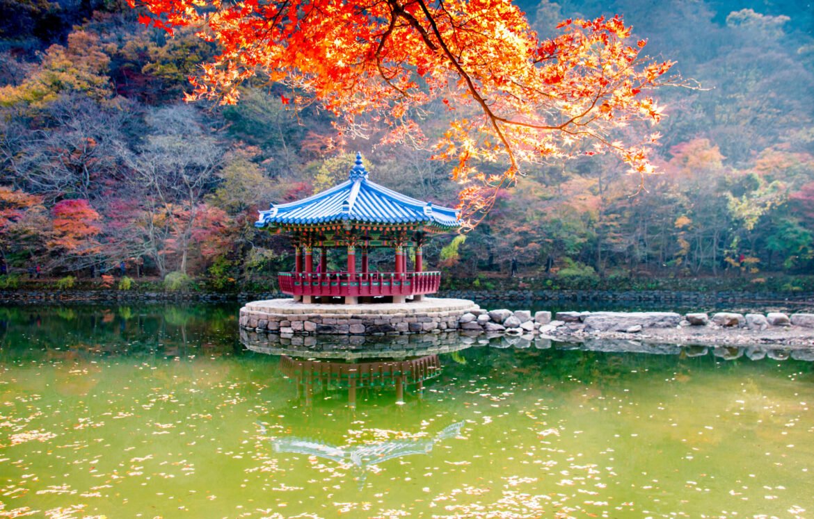 naejangsan-lake-2025-03-09-00-56-34-utc naejangsan-lake-2025-03-09-00-56-34-utc