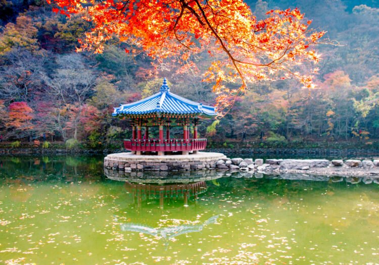 naejangsan-lake-2025-03-09-00-56-34-utc
