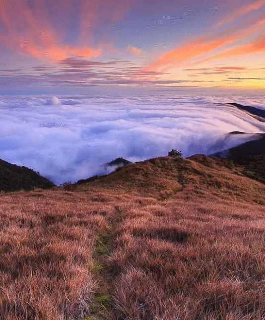 Pulag
