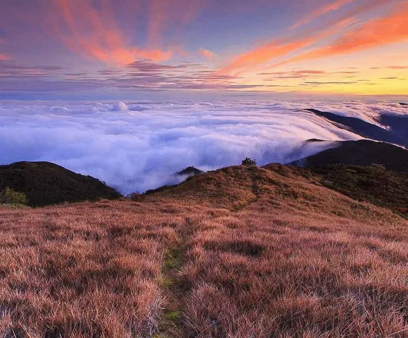 Pulag