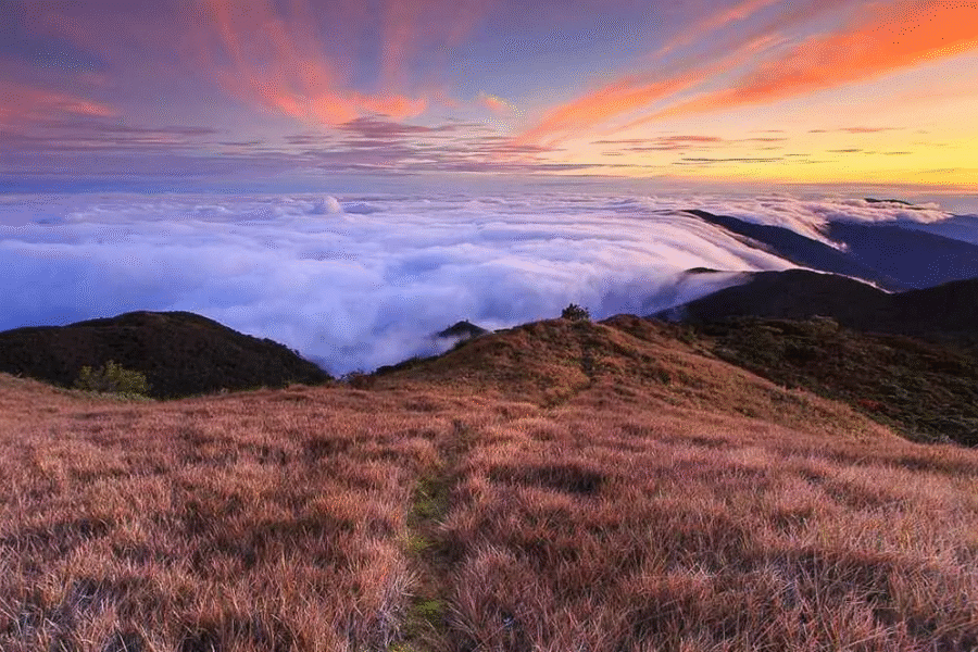 Pulag