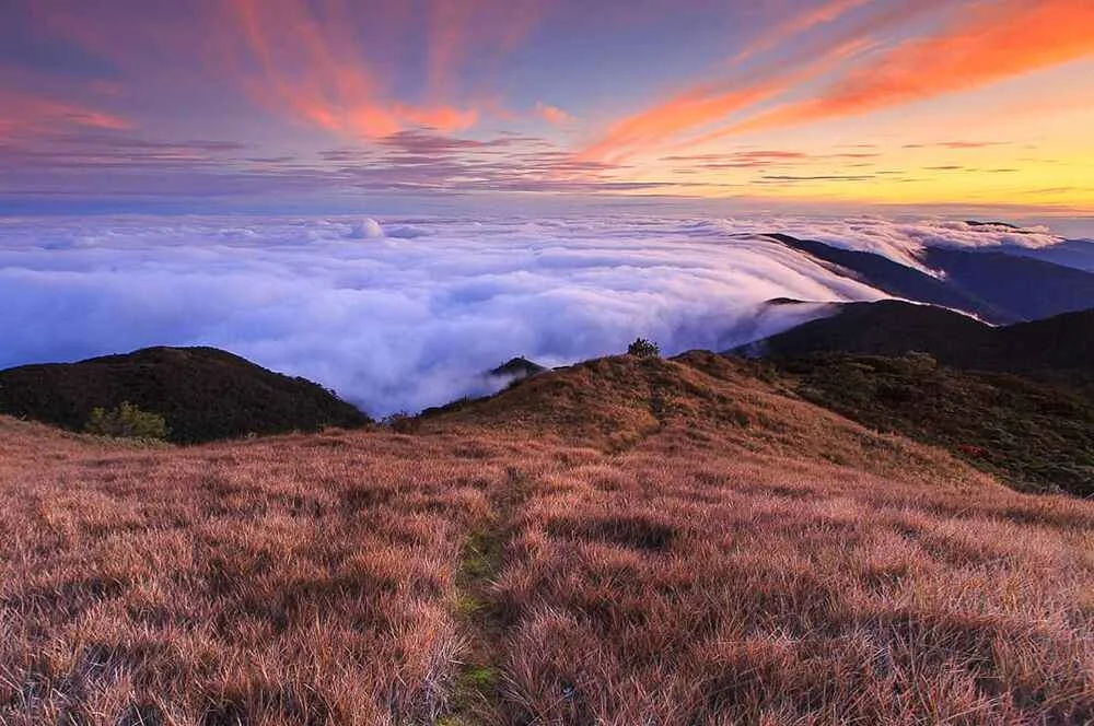 Pulag