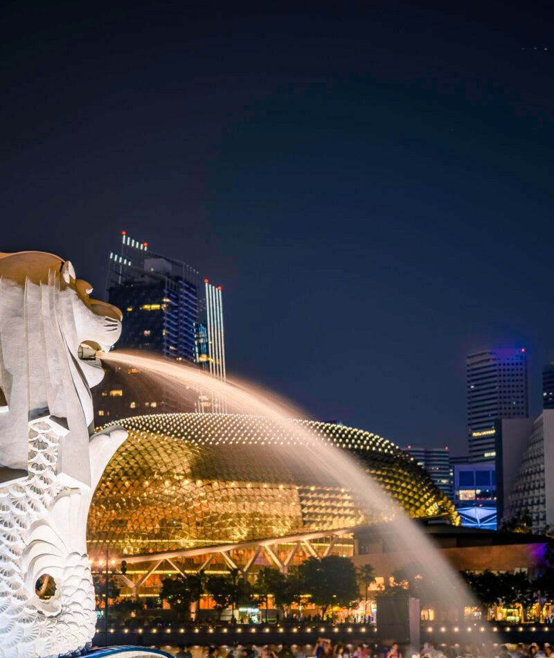 Merlion statue fountain in Merlion Park and Singapore city skyline at night.